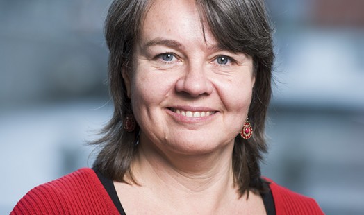 IISH Staff | karin Hofmeester - Photo by Martin van Welzen