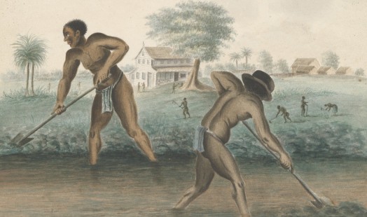 Slaafgemaakte mannen werken op het land, anoniem, ca. 1850