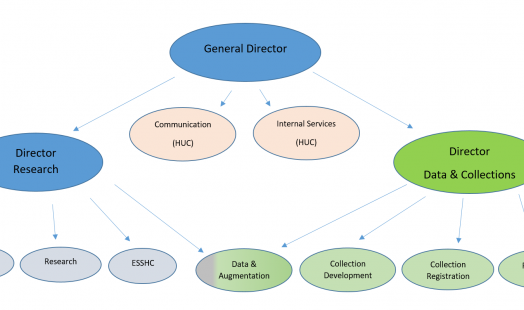 An organogram of the organisation