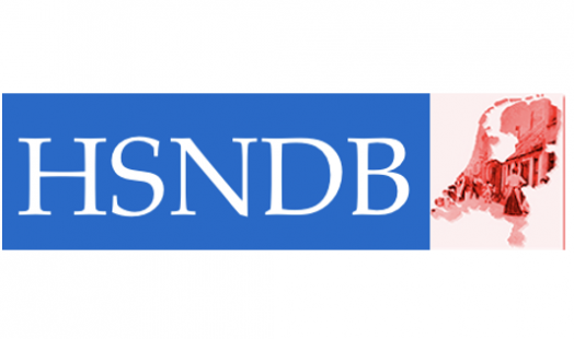 HSNDB - Datasets for inequality research
