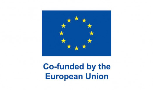 eu logo